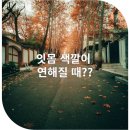 아르미치과의원 이미지