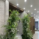 오월뷔페 | 식사 만족도 1위 웨딩홀 대구 오월의신부 뷔페 시식 후기