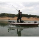 11590-47 | 3전 성적 및 후기