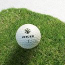 메이져 스크린 골프 | 고반발 골프공 끝판왕 데이비드 P1, 20알 대용량이라 로스트볼보다 가성비 진짜 좋아요