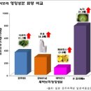 새싹보리의 놀라운 효능 이미지