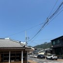 꽃보람 | 목포 최애 맛집 '장터식당' 내돈내산 꽃게살비빔밥 후기 서울부터 오픈런