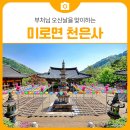 동안사 | [방문 후기] 부처님 오신날을 맞이하는 미로면 천은사 | 삼척 가볼만한곳