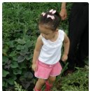 진서농장 이미지