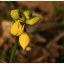 도비산 등산로 이미지