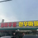 철마우림