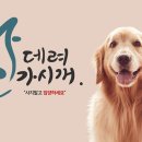 데려가시개 이미지