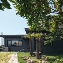 보아비양 이미지