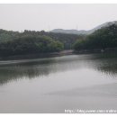 유양식선생묘 이미지