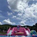 엠씨와이캠프