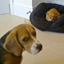 인성 카카오 검색결과