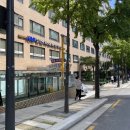 석정활어 | [광화문 안식당] 세종아케이드 KMI 건강검진 지하 물회, 막회 맛집