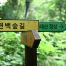 고흥여행 - 몽한 날씨에 가 보는 봉래산과 섬여행 쑥섬으로 ~~ 이미지