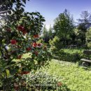 동백꽃마을 이미지