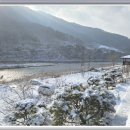 개구리민박 이미지