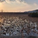 진척농장 이미지