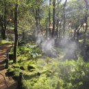 산오름휴게소 이미지