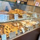 라비뛰드 이미지