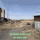 신도리-5 이미지