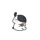 아이힐 동물병원 이미지