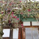 그리스신화와 한국사 첫걸음 이미지