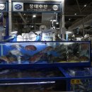 창대과일