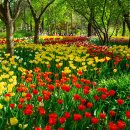 하얀마을어린이공원 이미지