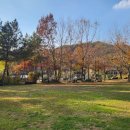 사교농장 이미지