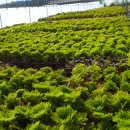 (주)황금농장 이미지