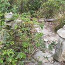 흑산 사촌서당(복성재) 이미지