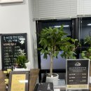 동양인문학-풍수지리학의 실전 이미지