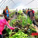 김영자농장 이미지