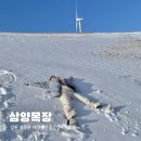청송목장2 네이버블로그