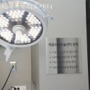 채움동물의료센터 이미지