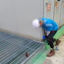 보람 태양광발전소 이미지