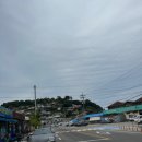 동미식품