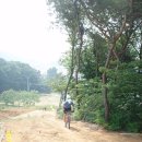 숨은진주 이미지