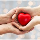 서울힐링요양병원 이미지