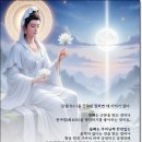 신*심