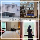 인스타호텔 | 홍제) ‘스위스 그랜드 호텔’ 내돈내산 후기 [디럭스 더블 인스타 뷰맛집 마운틴뷰 후기]