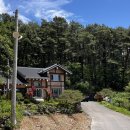 여우골옻닭 이미지