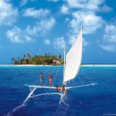 환상의 섬 이미지