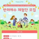 (주)반려애수 이미지