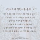 럽미모어