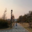 숲뜰근린공원 이미지