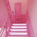 FUNNY LAND | 가챠샵 인형 뽑기 핑크핑크한 포토존까지 니니 명동점(구 퍼니랜드) 방문 후기