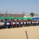 응봉초등학교 이미지