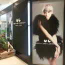 참신한헤어 이미지
