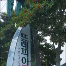 뜨레피아 | 제주여행~제주 중문 숙박 찾으시나요? 뜨레피아로 가보세요^^꿀잠 잘수 있어요~※