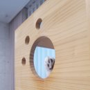 그루밍 까꿍 이미지